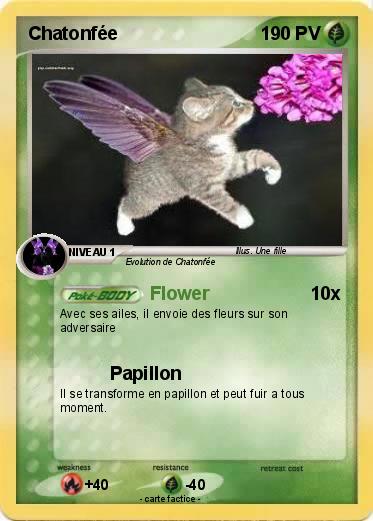 Pokemon Chatonfée