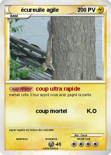 Pokemon écureuile agile