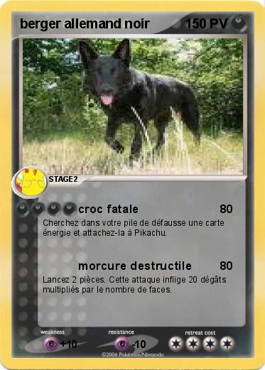 Pokemon berger allemand noir