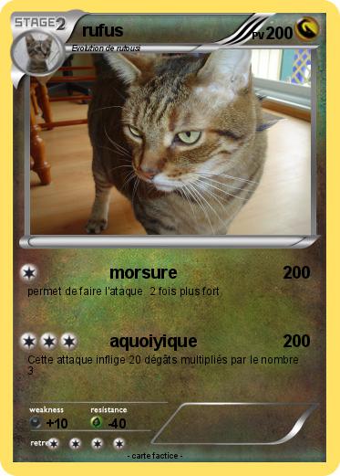 Pokemon rufus