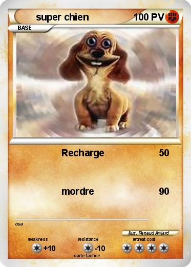 Pokemon super chien