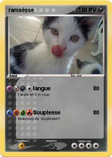 Pokemon ramsèsse