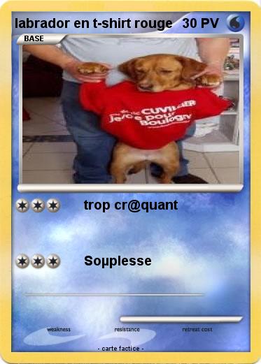 Pokemon labrador en t-shirt rouge