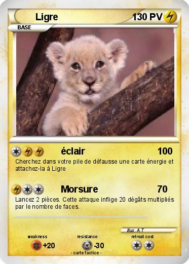 Pokemon Ligre