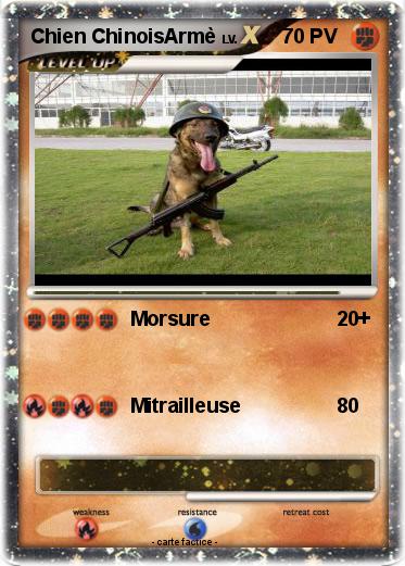 Pokemon Chien ChinoisArmè