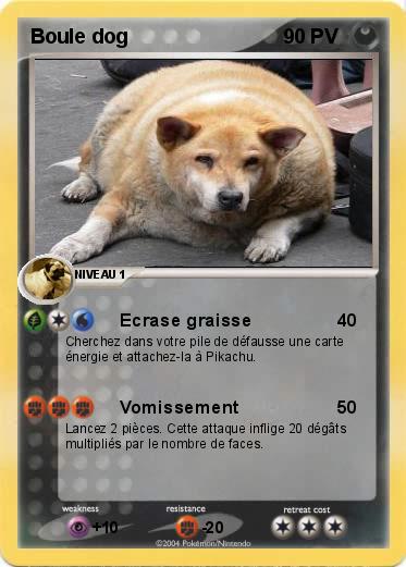 Pokemon Boule dog
