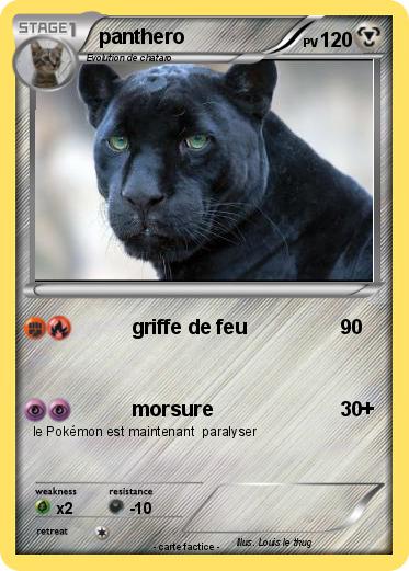 Pokemon panthero
