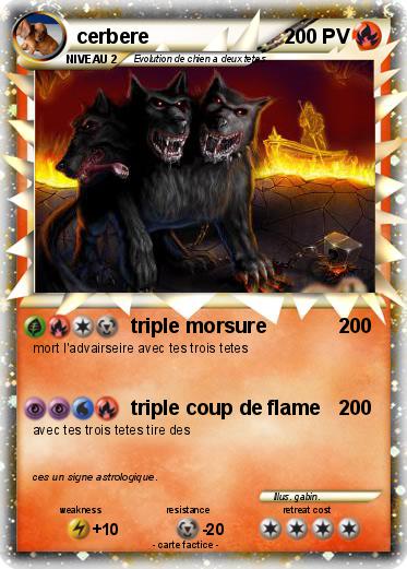 Pokemon cerbere