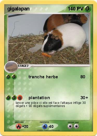 Pokemon gigalapan