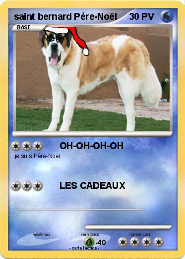 Pokemon saint bernard Père-Noël