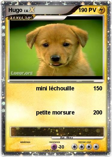 Pokemon Hugo
