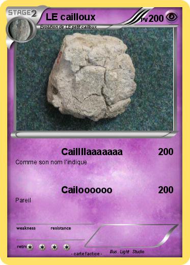 Pokemon LE cailloux