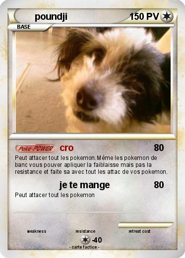 Pokemon poundji