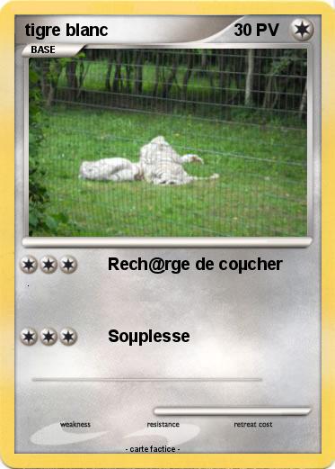Pokemon tigre blanc