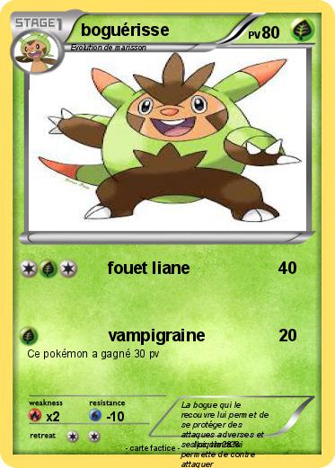 Pokemon boguérisse