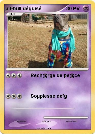Pokemon pit-bull déguisé