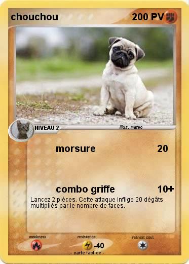 Pokemon chouchou