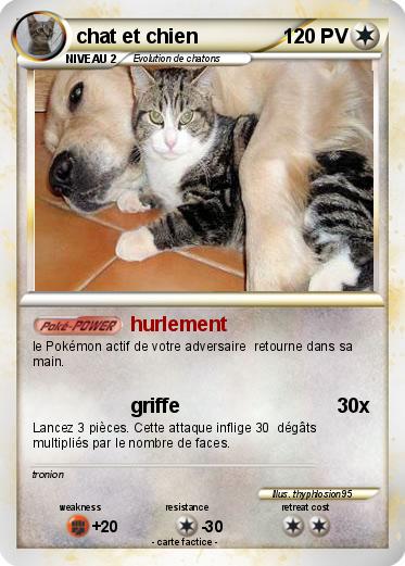 Pokemon chat et chien