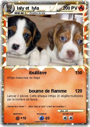 Pokemon laly et  lyla