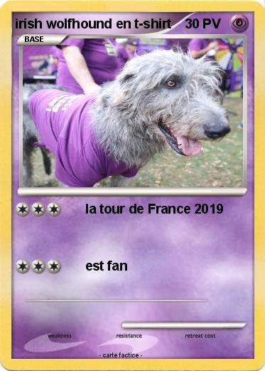 Pokemon irish wolfhound en t-shirt