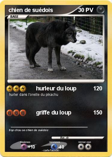 Pokemon chien de suédois