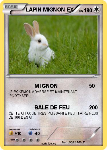 Pokemon LAPIN MIGNON EX