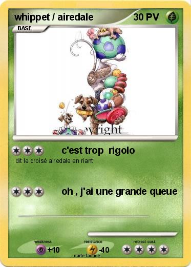 Pokemon whippet / airedale