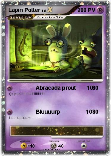 Pokemon Lapin Potter