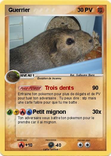 Pokemon Guerrier
