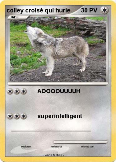Pokemon colley croisé qui hurle