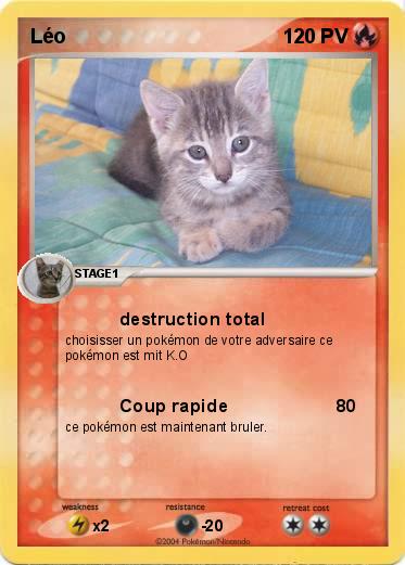 Pokemon Léo