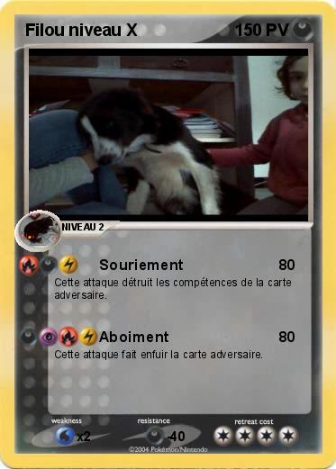 Pokemon Filou niveau X