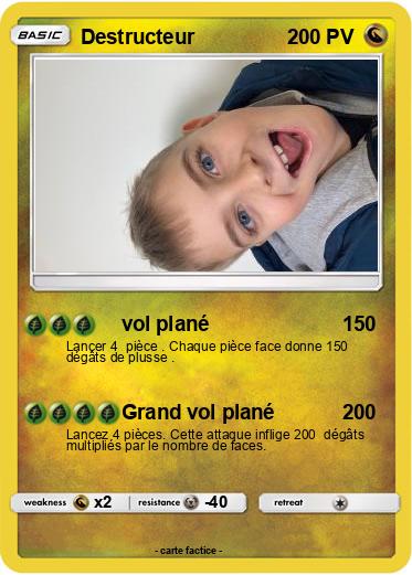 Pokemon Destructeur