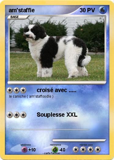 Pokemon am'staffie