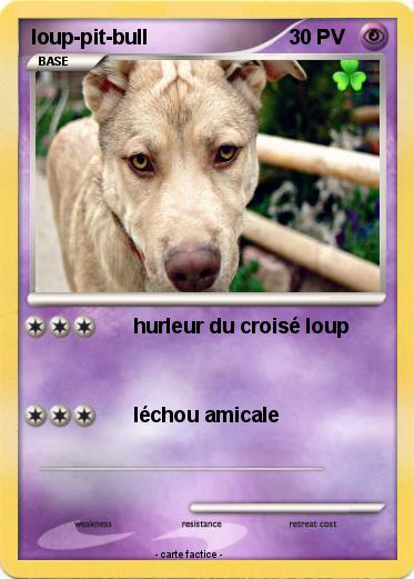 Pokemon loup-pit-bull