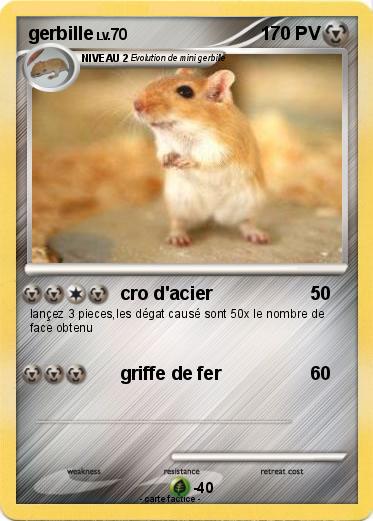 Pokemon gerbille