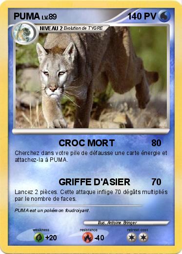 Pokemon PUMA
