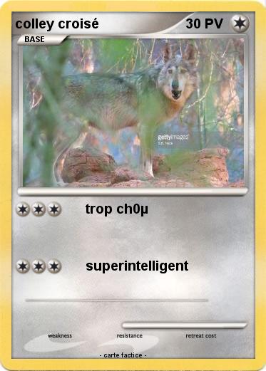 Pokemon colley croisé