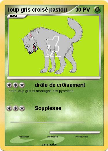 Pokemon loup gris croisé pastou