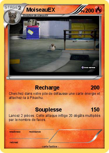 Pokemon MoiseauEX