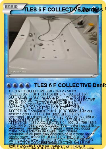 Pokemon TLES 6 F COLLECTIVE Danfoss ™