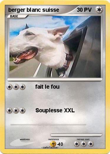 Pokemon berger blanc suisse