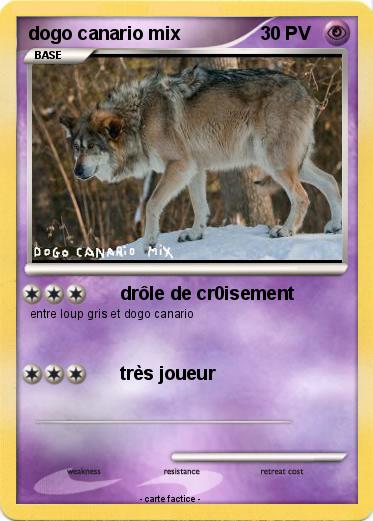 Pokemon dogo canario mix