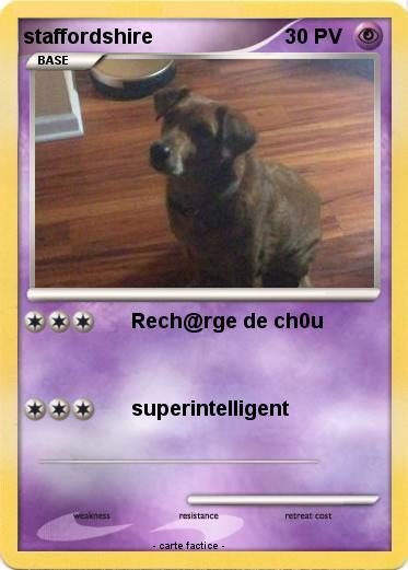 Pokemon staffordshire