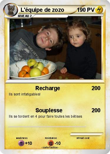 Pokemon L'équipe de zozo