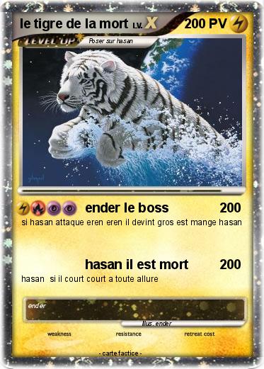 Pokemon le tigre de la mort