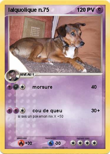 Pokemon lalquolique n.75