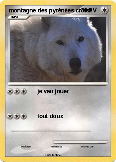 Pokemon montagne des pyrénées croisé