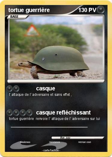 Pokemon tortue guerrière