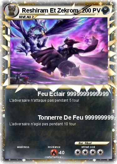 Pokemon Reshiram Et Zekrom